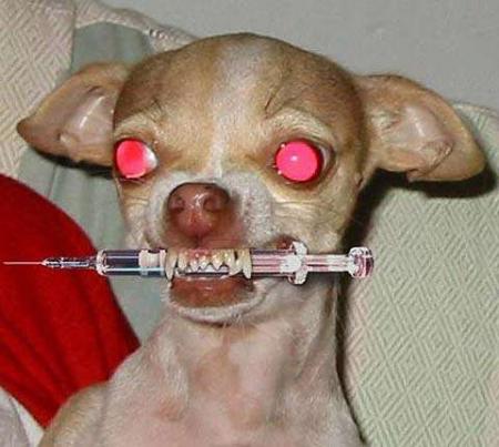 Toxico